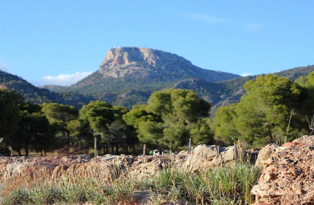 Cierran la zona de nidificación del águila real en Sierra Espuña para garantizar la conservación de esta especie protegida.