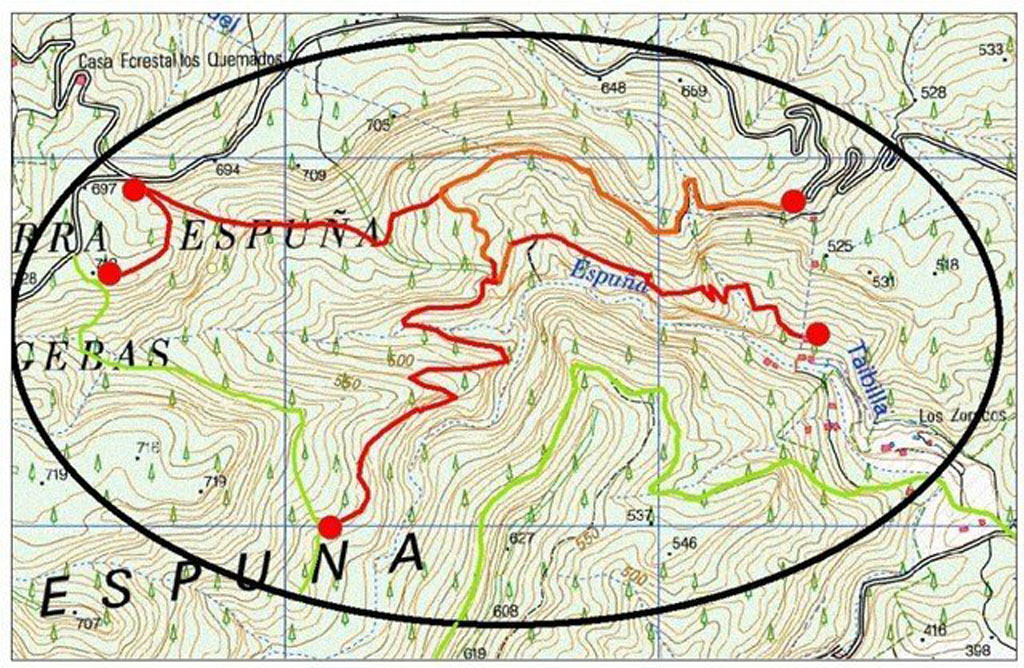 Cierran el acceso a las zonas de nidificacin del guila real en Sierra Espua los meses de enero y junio de 2020