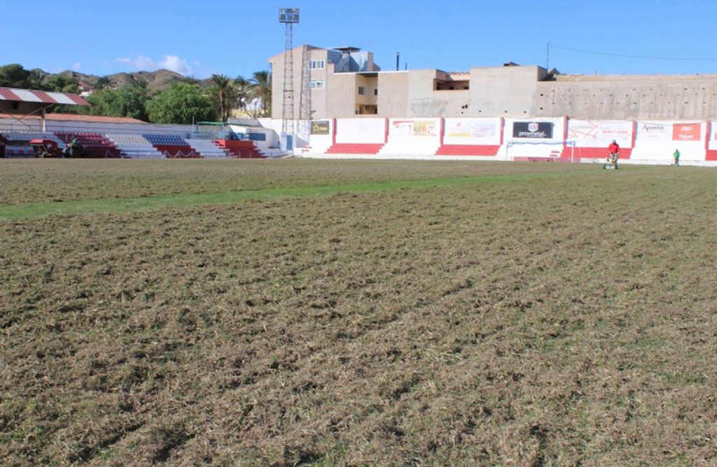 La Concejala de Deportes acomete la resiembra de invierno del csped del estadio municipal Juan Cayuela.