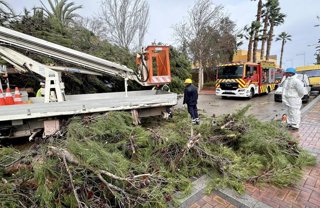 Se atienden cerca de 200 incidencias relevantes en Totana a consecuencia de los efectos del temporal de viento
