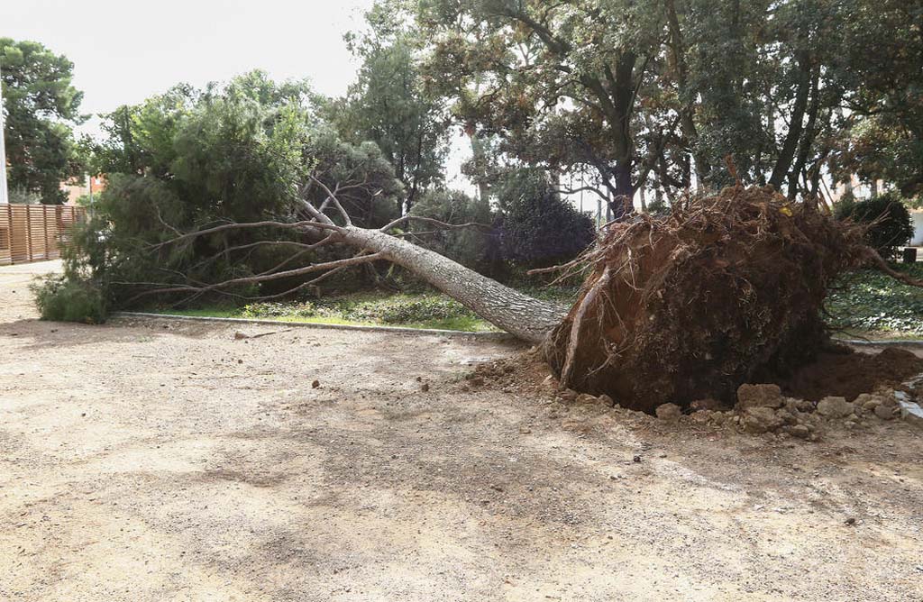 La borrasca Hortensia nos deja rachas de vientos huracanados en toda la region de Murcia y gran parte del pais este viernes.