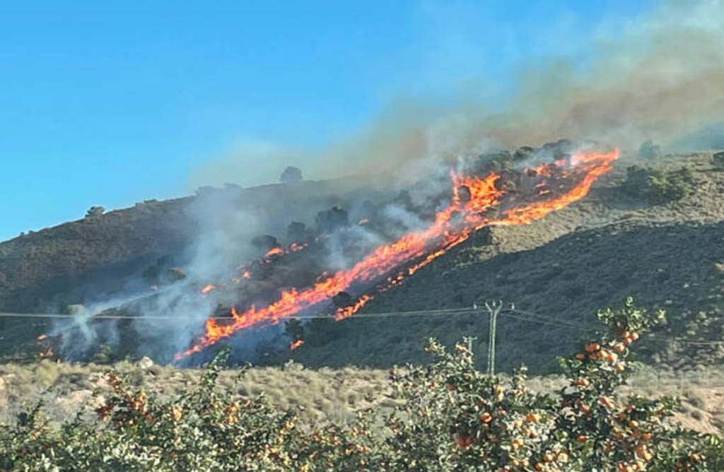 Los Efectivos del Plan Infomur se movilizan para sofocar el incendio declarado hoy en la Sierra de Carrascoy