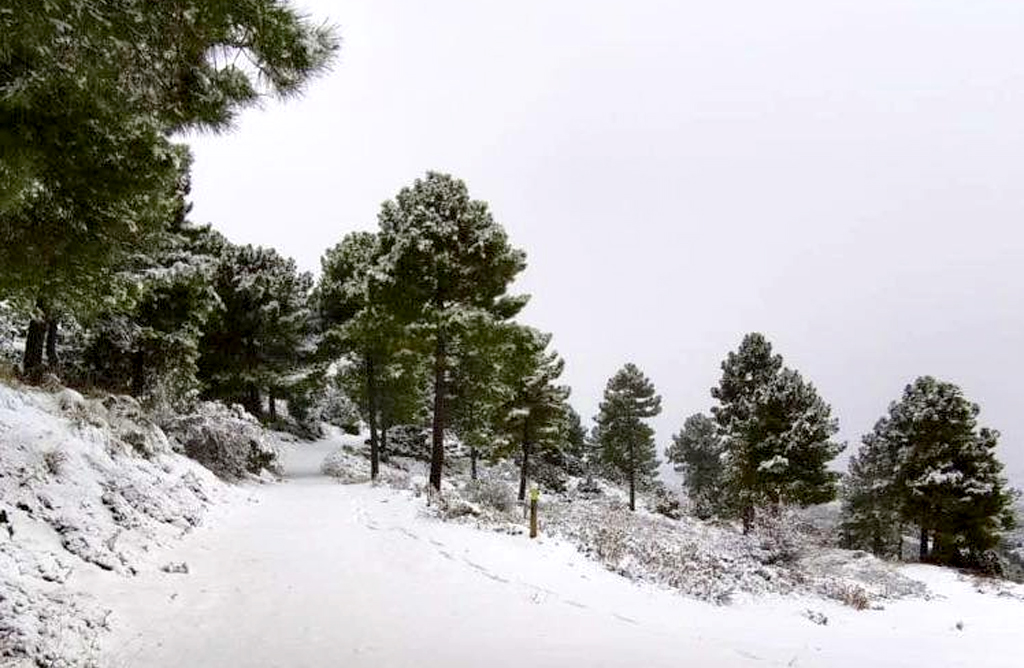 La nieve cubre de nuevo Sierra Espu�a