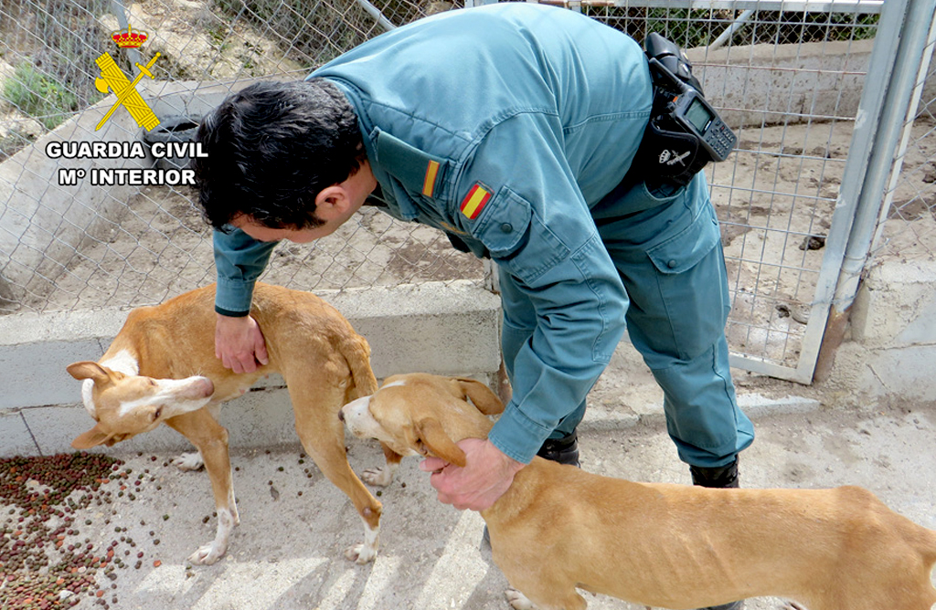 La Guardia Civil investiga al propietario de tres canes por abandono animal en Alhama de Murcia