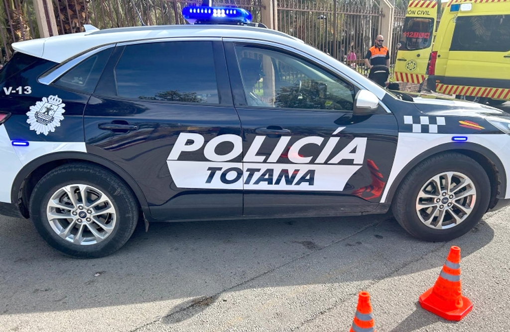 La Polic�a Local efect�a 107 detenciones por delitos contra la seguridad vial en lo que va de a�o