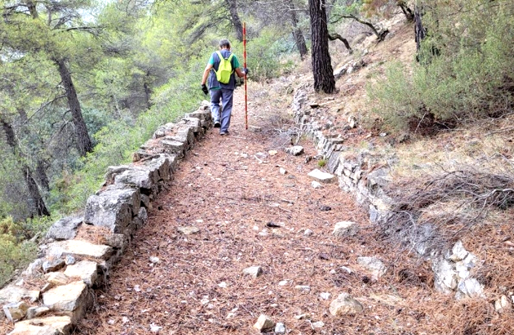 Cierran la zona de nidificacin del guila real en Sierra Espua entre los meses de enero y junio del 2020