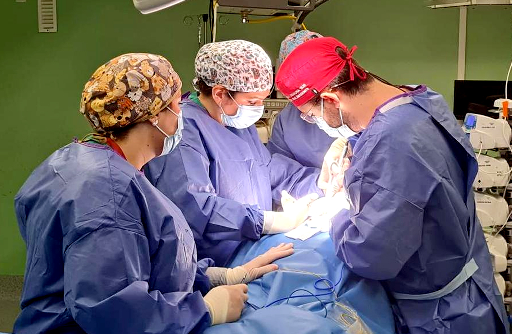 La Arrixaca alcanza los 100 trasplantes renales por segundo año consecutivo