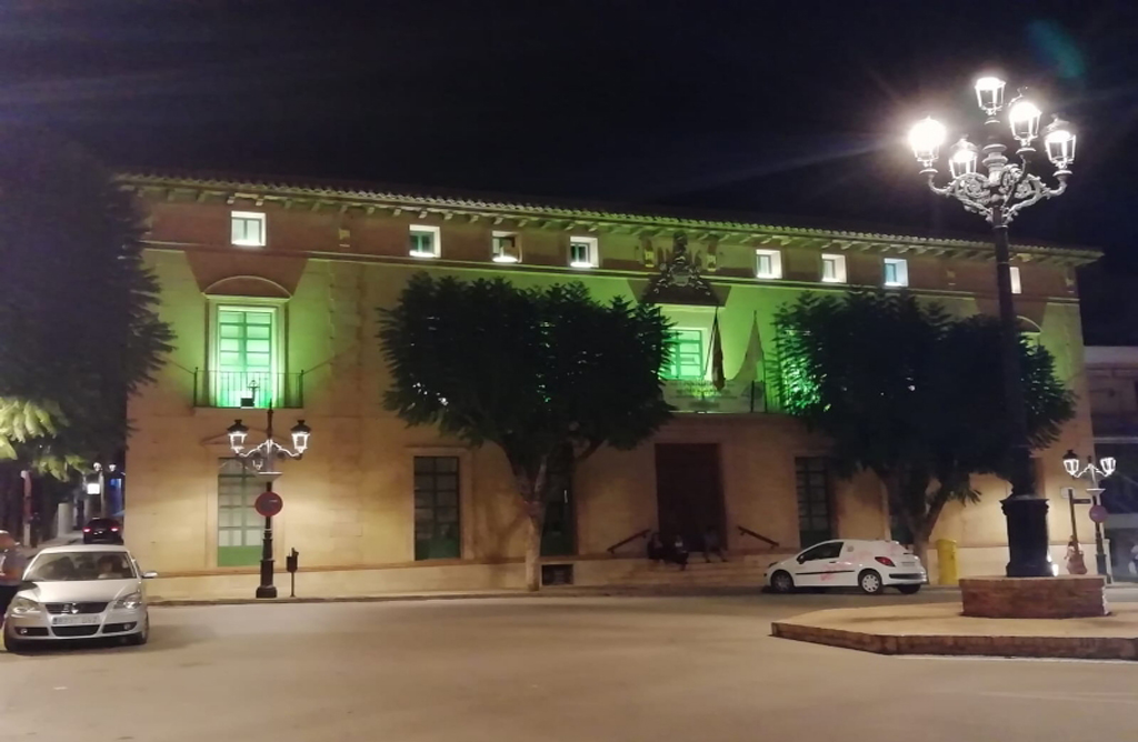 La fachada del edificio principal del Ayuntamiento se ha iluminado de color verde.